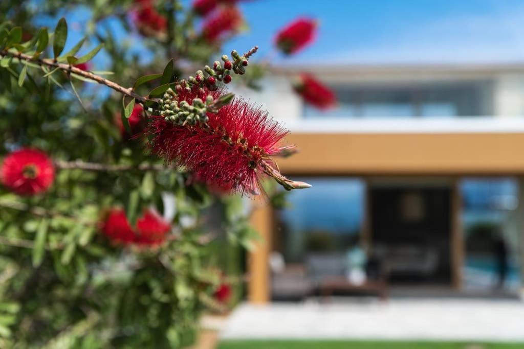 Amare Chania Luxury Residence Stérnai 外观 照片
